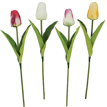 images/uploads/22396/thumb_2208 ASS 4 colors.webp